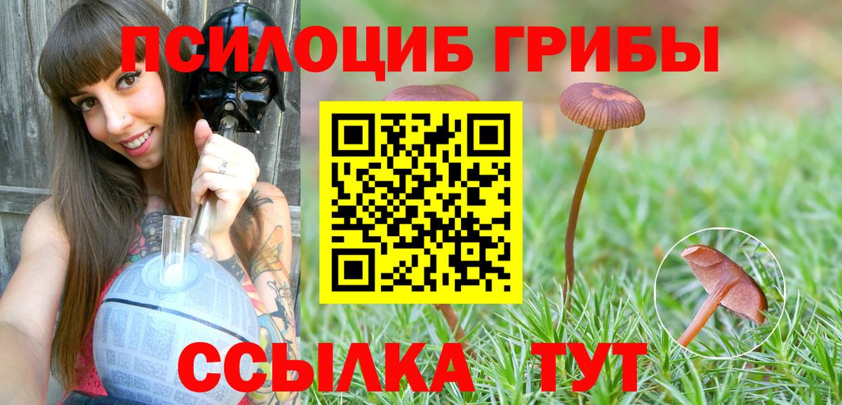 Галлюциногенные грибы Cubensis Калининград