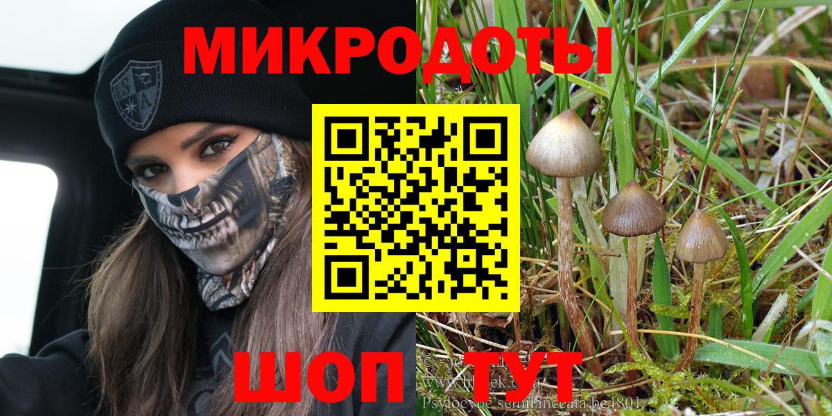 Калининград  Галлюциногенные грибы Psilocybe  Вход с VPN 